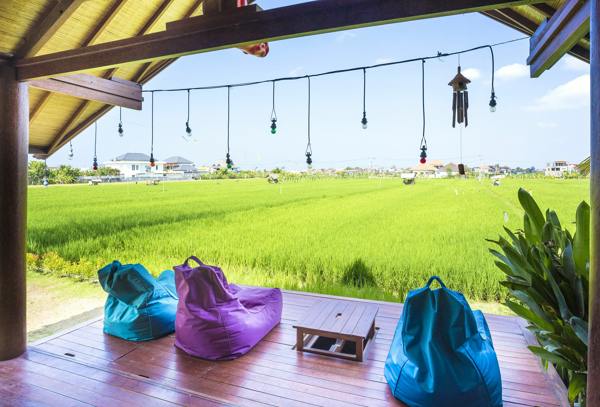 Big Brother Surf Inn Canggu Exterior foto